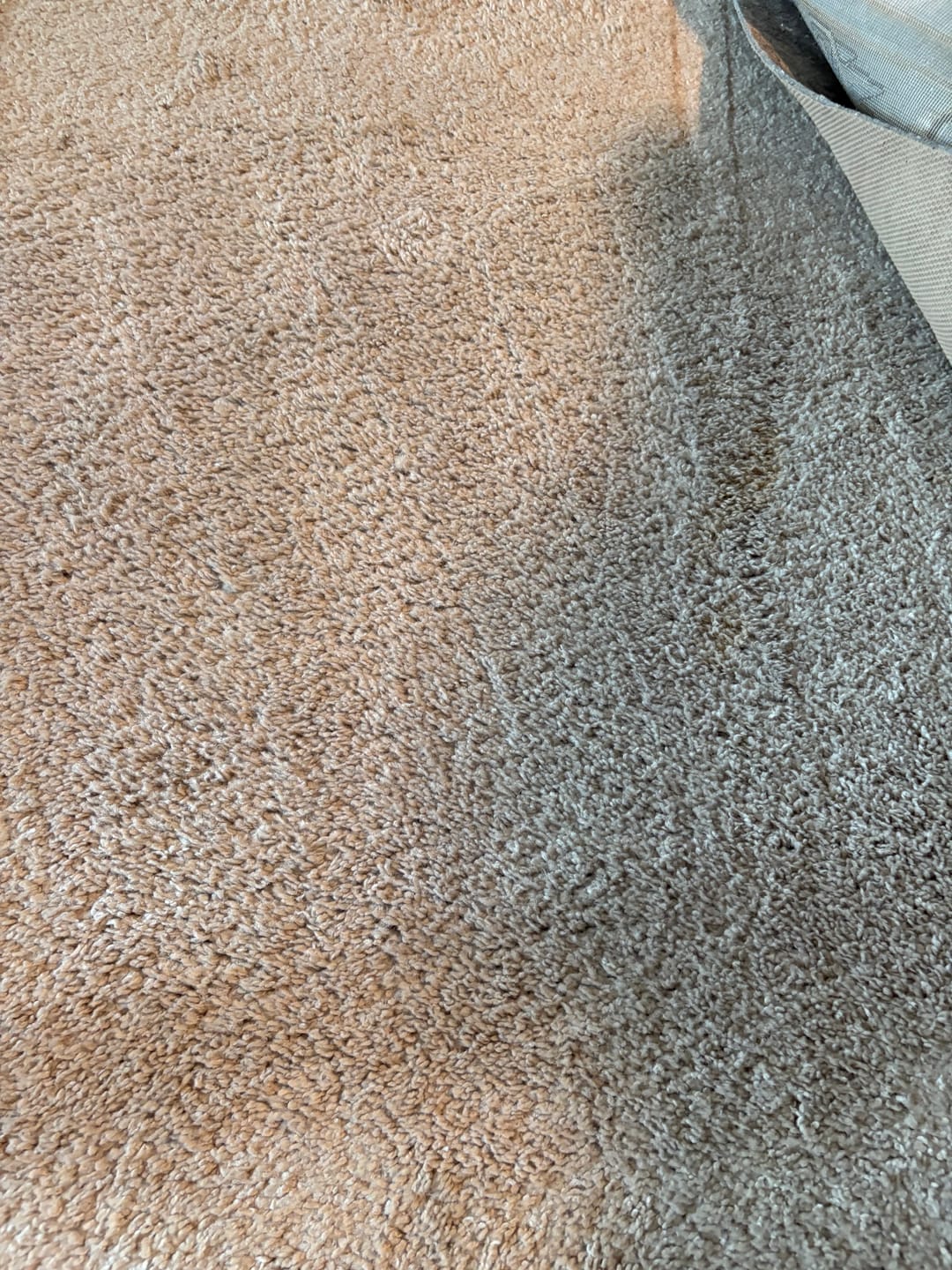 Customer photo review of ~ Releasit Encap-Clean DS2 (1 Gallon) Encapsulation Carpet Cleaning Products [Encap]