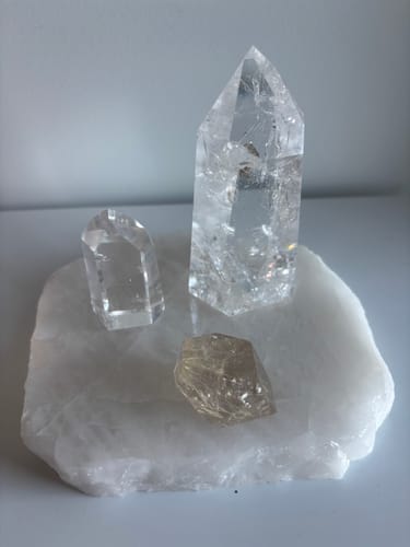 Customer photo review of thelittleplantfairy