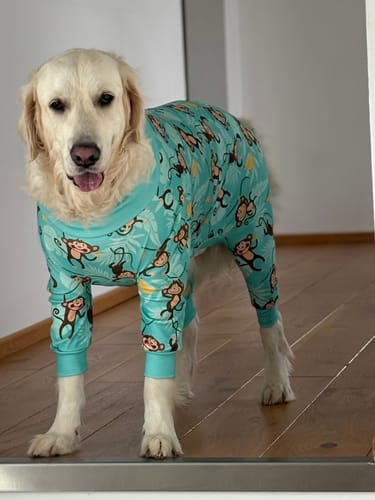 Customer photo review of Dog Pajama - Monkey Business