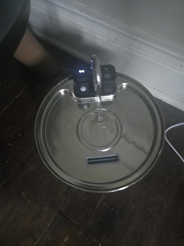 Customer photo review of Pawdrate™ Filtered Water Fountain (Battery Version)