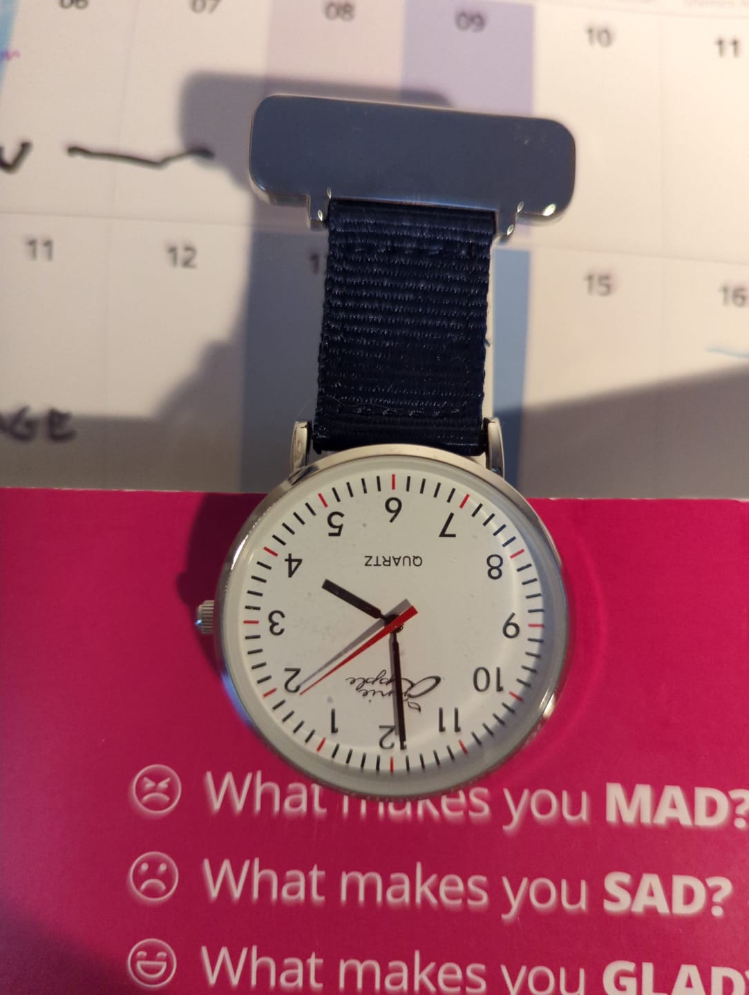 Customer photo review of Silver Mesh/Nato Interchangeable Nurse Watch