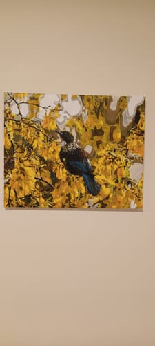 Customer photo review of Tui in Kowhai Tree
