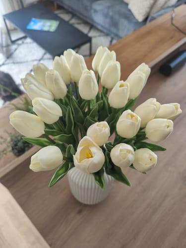 Customer photo review of Tulipes - Blanc (25 Tiges)