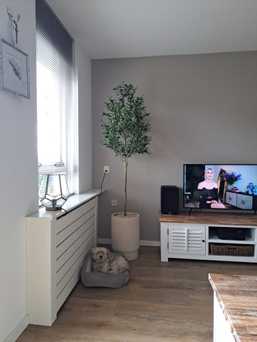 Customer photo review of Kunst Olijfboom 180cm