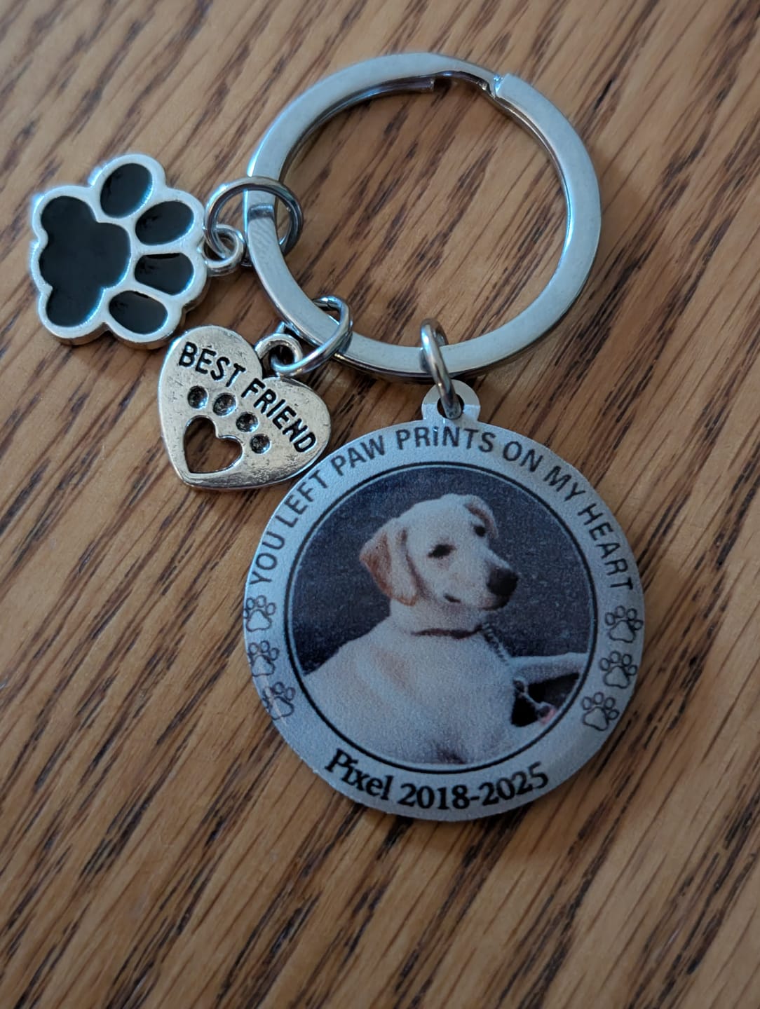 Customer photo review of Custom Personalized Photo Keychain Pet Charm Key Ornaments - Memorial Gift for Dog/Cat Lovers - You left paw prints on my heart