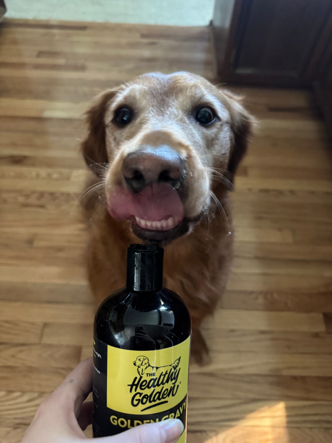 Customer photo review of Golden Gravy