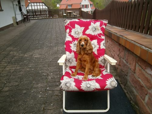 Customer photo review of Traktor Nachtlicht mit eigenem Namen