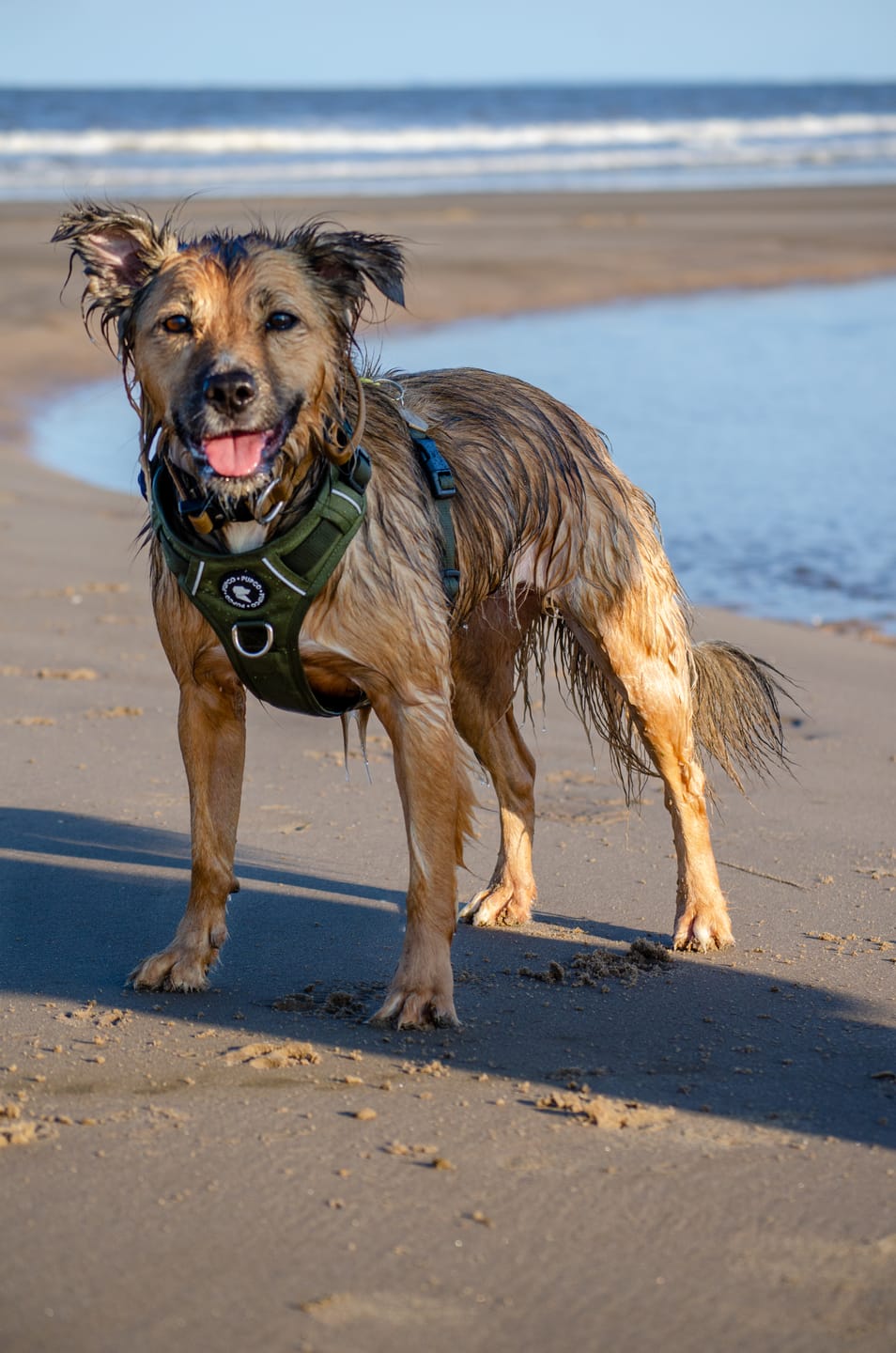 Customer photo review of Lunar Harness - Khaki