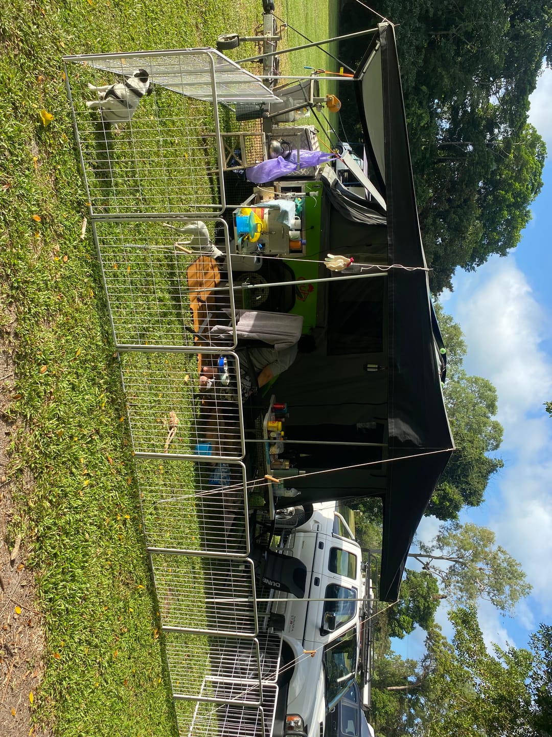 Customer photo review of PaWz 8 Panel Playpen White