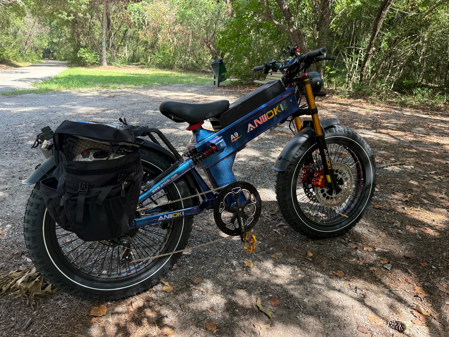 Customer photo review of 2025 Version A9 Pro Max 60V Dual Motor Ebike