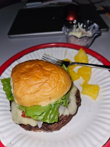 Customer photo review of Grass-Fed Brisket Burger Box (LIMITED STOCK ITEM)