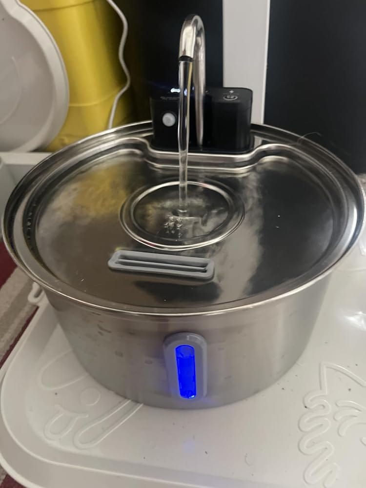 Customer photo review of Pawdrate™ Filtered Water Fountain (Battery Version)