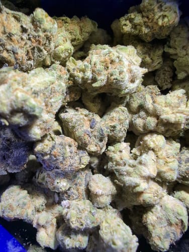 Customer photo review of Sugar Runtz Exotic THCA Flower