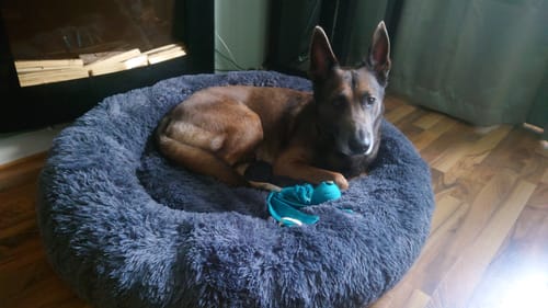 Customer photo review of CalmBed - Motverkar stress & hjälper mot ångest