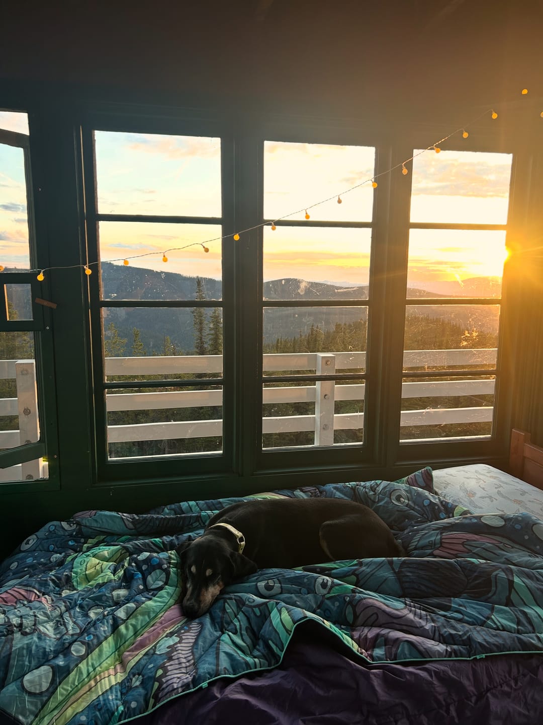 Customer photo review of PREORDER - Limited Edition HaliBorealis Fishe x Rumpl Puffy Blanket