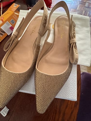 Customer photo review of JAdior slingback flat beige full diamond crystal and seude