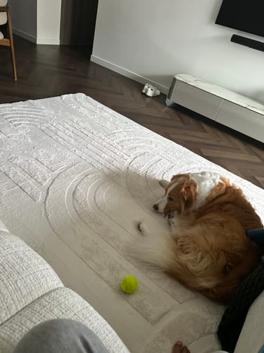 Customer photo review of The Mellow Mat® Cloud Haven 3D (Soft Touch Sensory Tatami Rug)
