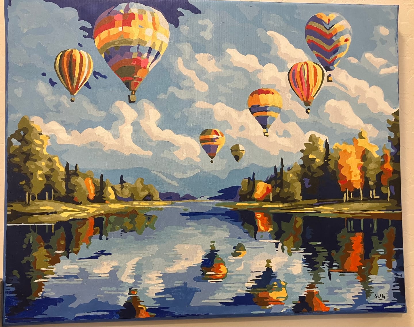Customer photo review of Hot Air Balloon Showcase