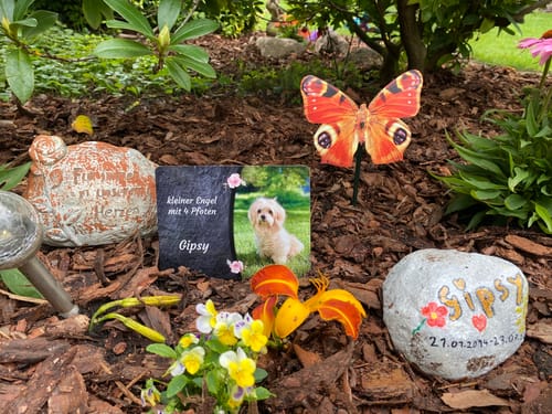 Customer photo review of Hunde Gedenktafel mit Foto & Spruch (UV- &  Wetterfest)