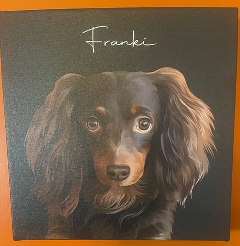 Customer photo review of Pet Art Canvas Wrap