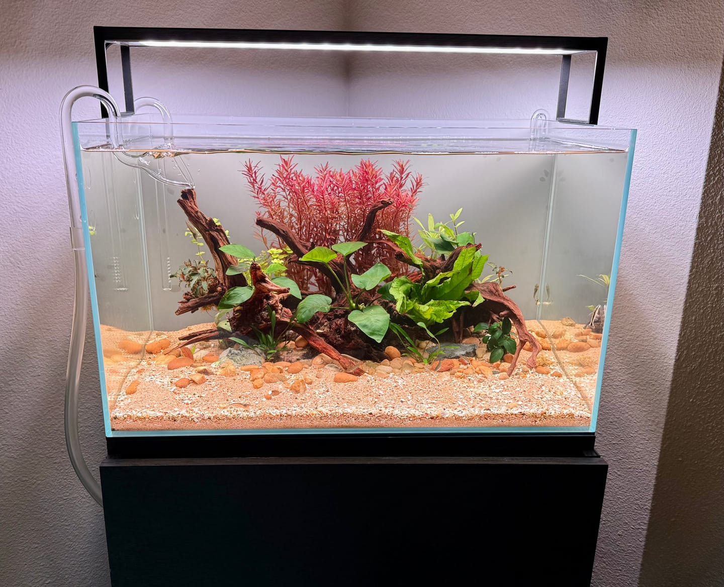 Customer photo review of Chihiros WRGB II Slim LED Light