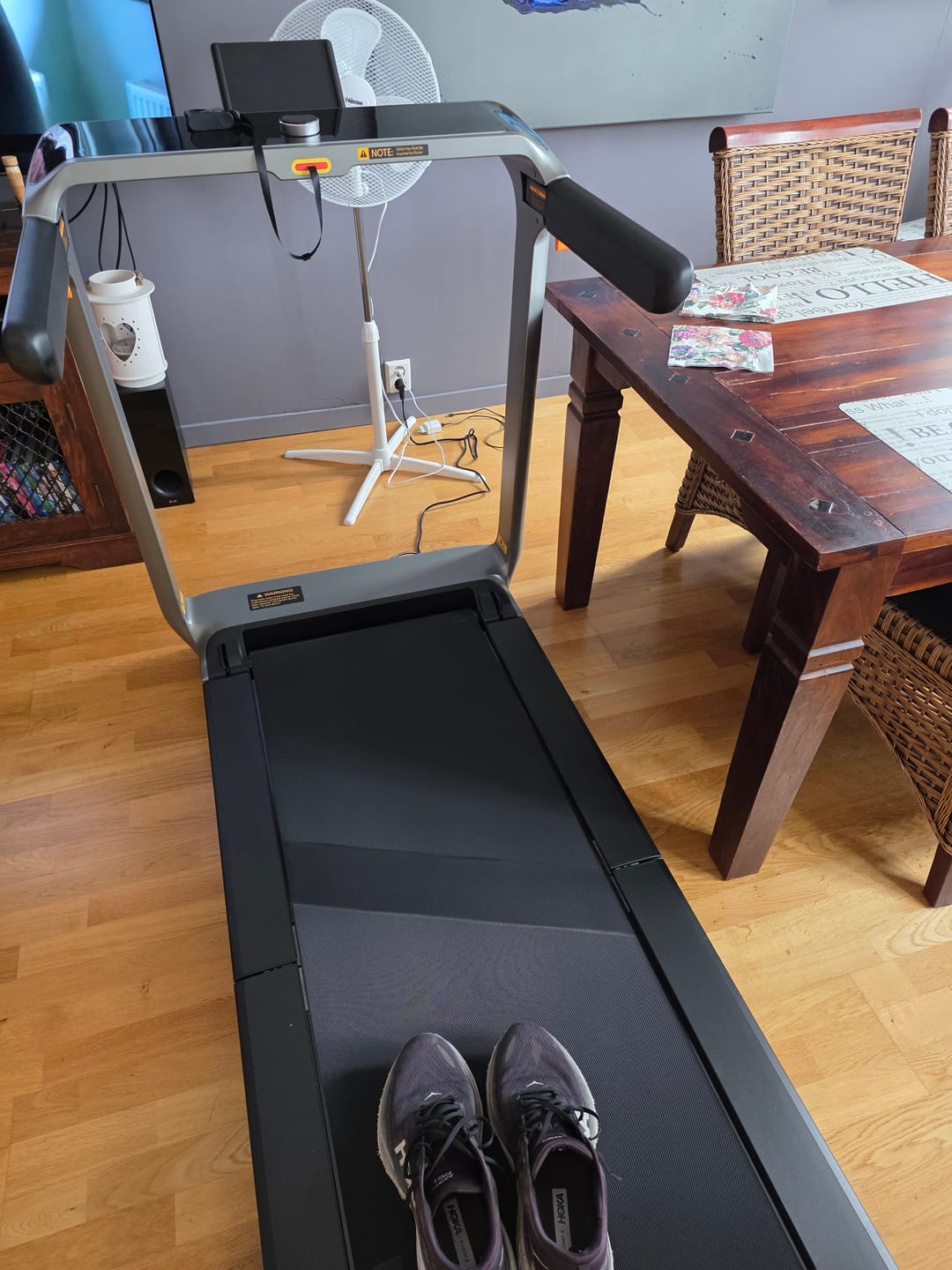 Customer photo review of WalkingPad X218 (18km/t)