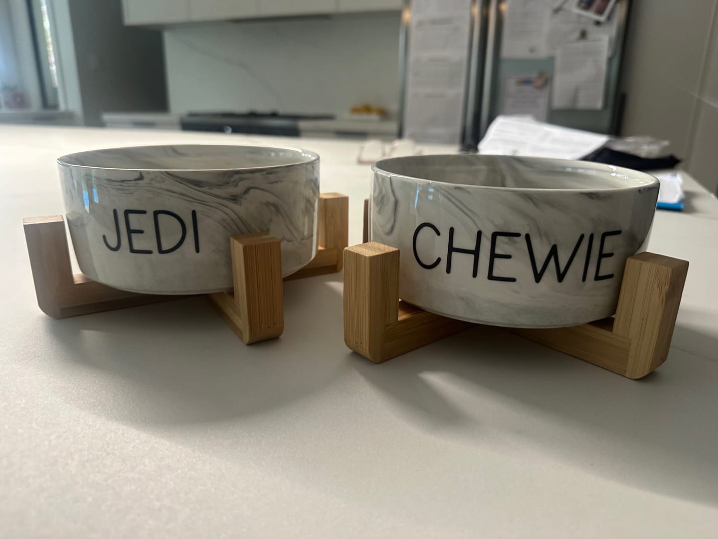 Customer photo review of Personalised Ceramic Dog Bowl with Wooden Support