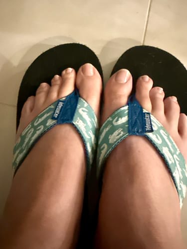 Customer photo review of Alligator Rock