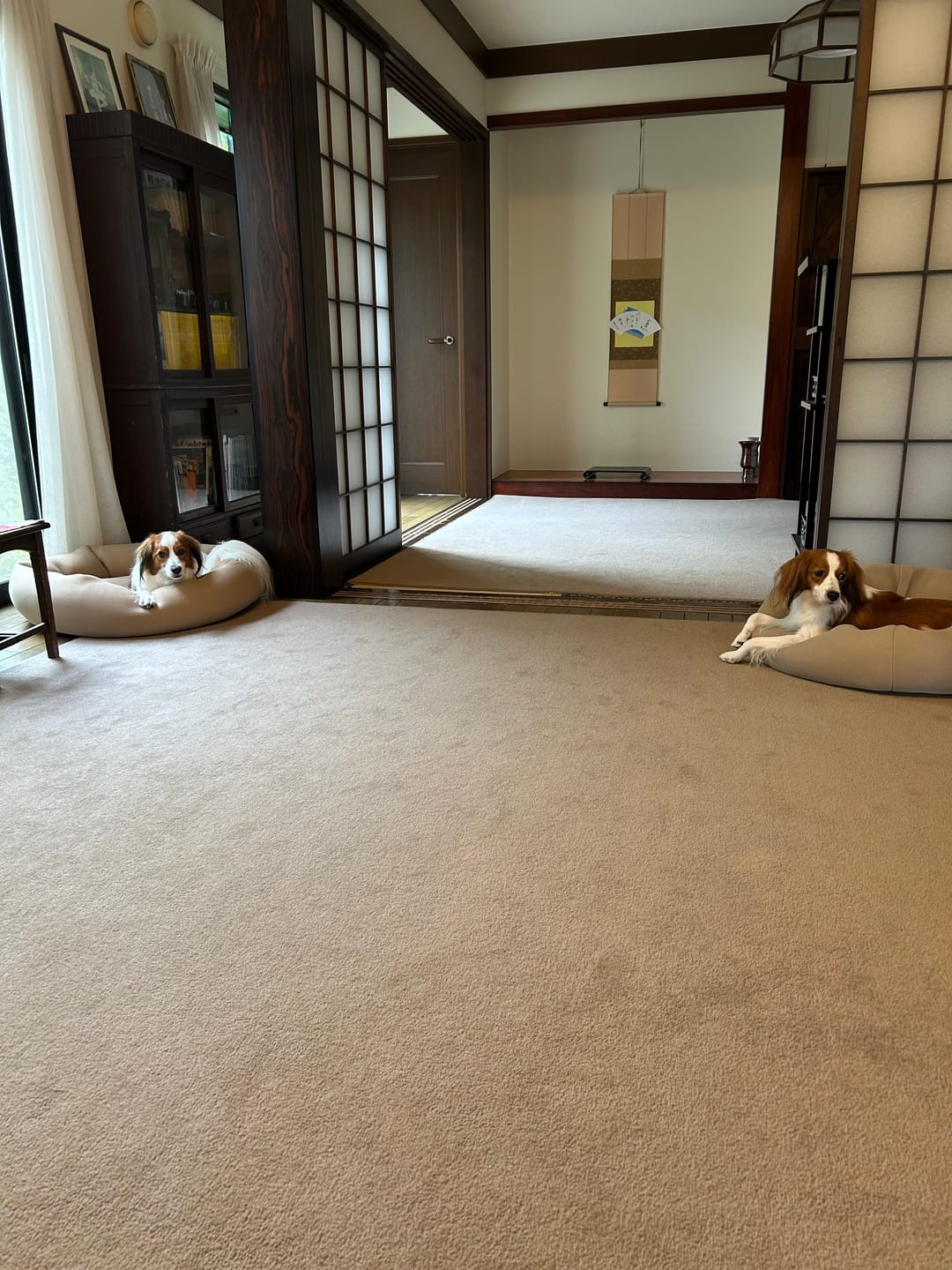 Customer photo review of 【カバーのみ】日本製！高通気サマーベッド＜ご予約受付中＞お届け時期8月上旬予定