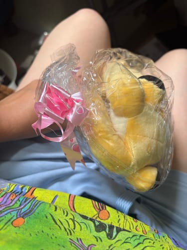 Customer photo review of Nectocaris Pteryx Soft Stuffed Plush Toy