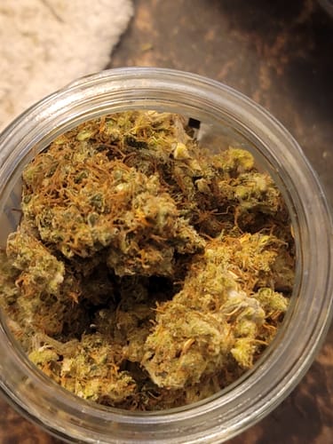 Customer photo review of Bandaid Haze IX 3.0