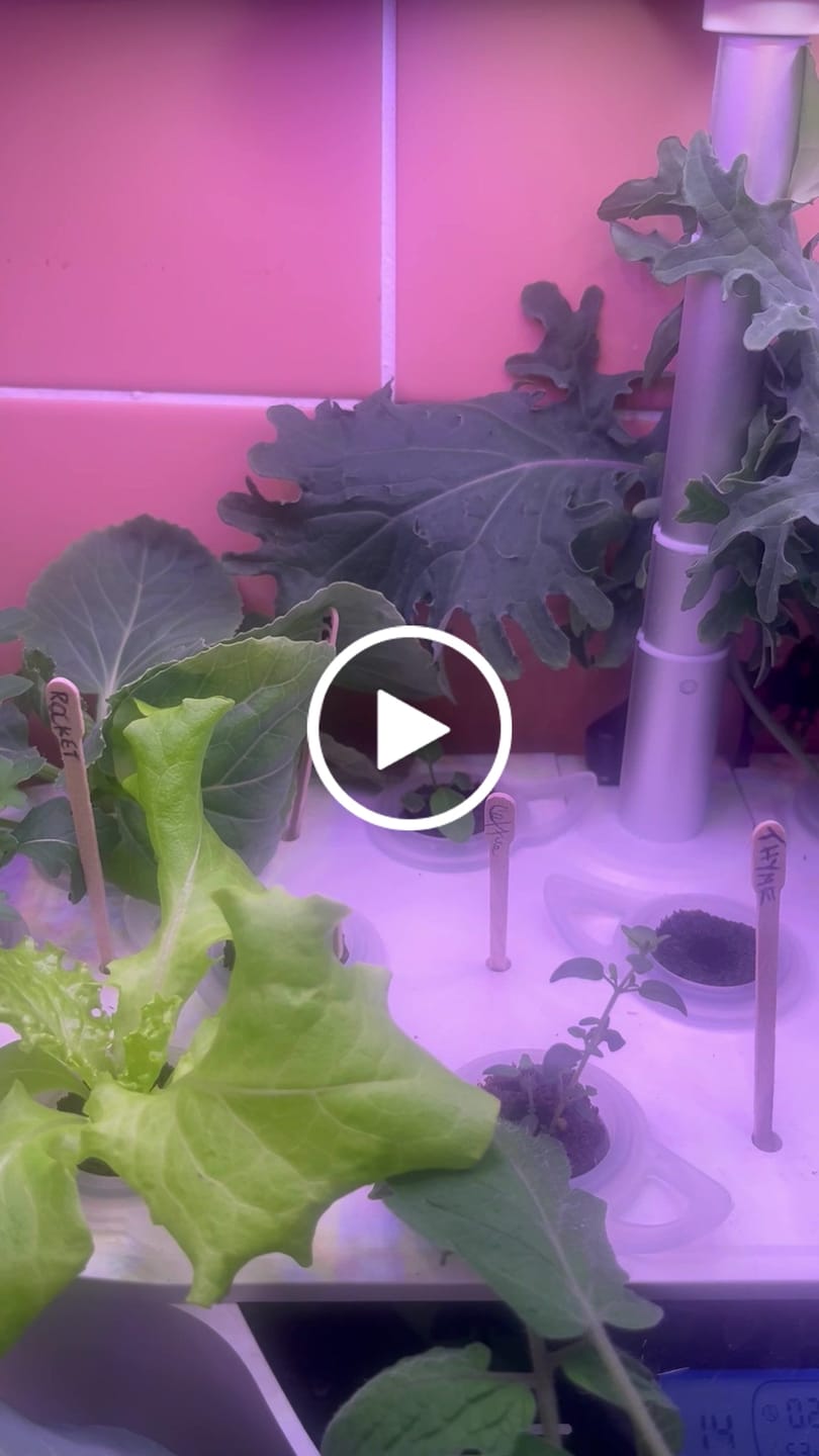 Customer video review of The Kitchen Garden