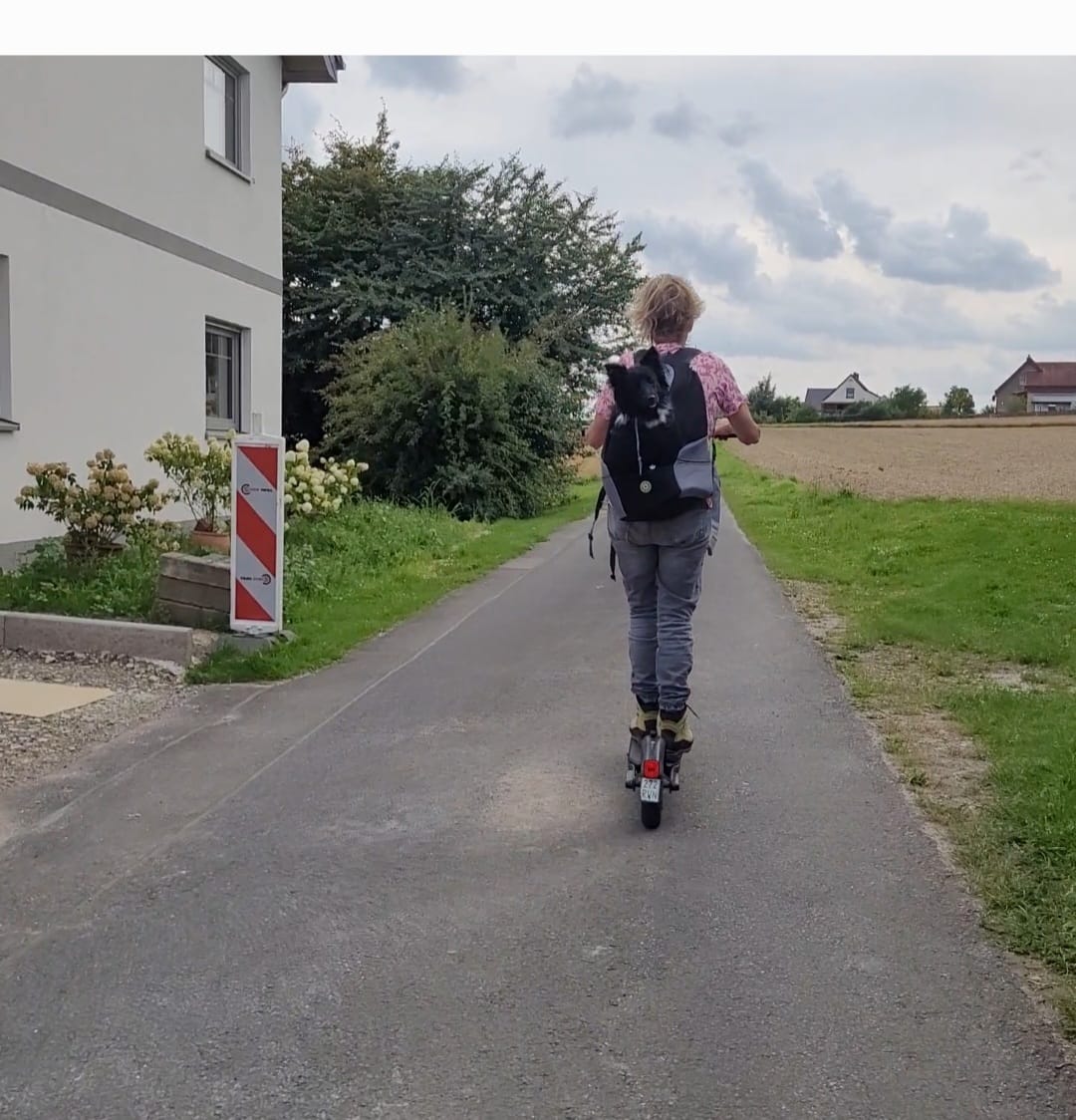 Customer photo review of Emmalove - Hunde-Rucksack