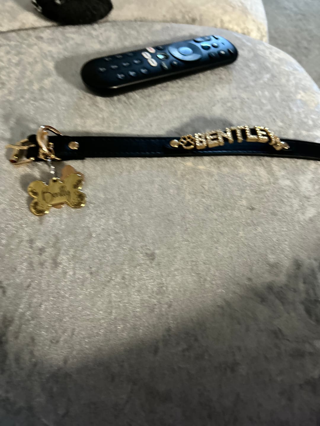 Customer photo review of The Personalized Sparkle Collar