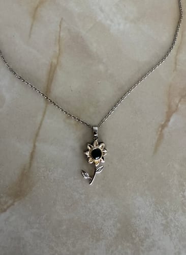 Customer photo review of Collar De Proyección Personalizable