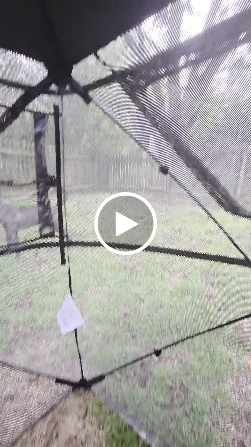 Customer video review of VisTrilogy 4-6 Person See-Through Deer Turkey Hunting Ground Blinds