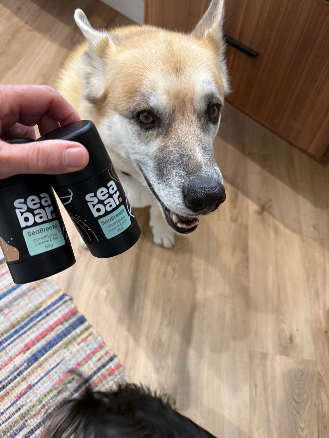 Customer photo review of SeaTree - Tea Tree Shampoo & Conditioner Bar Bundle