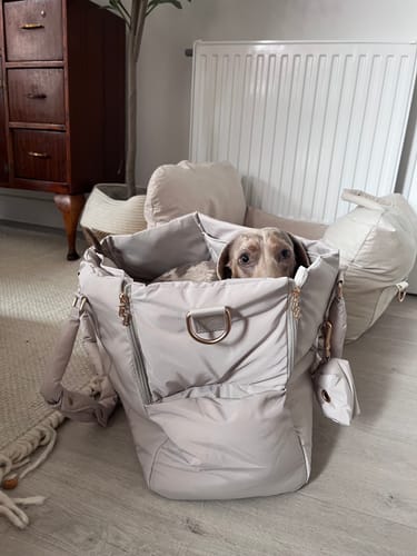 Customer photo review of Hazelnut┃The Puffer Carrier