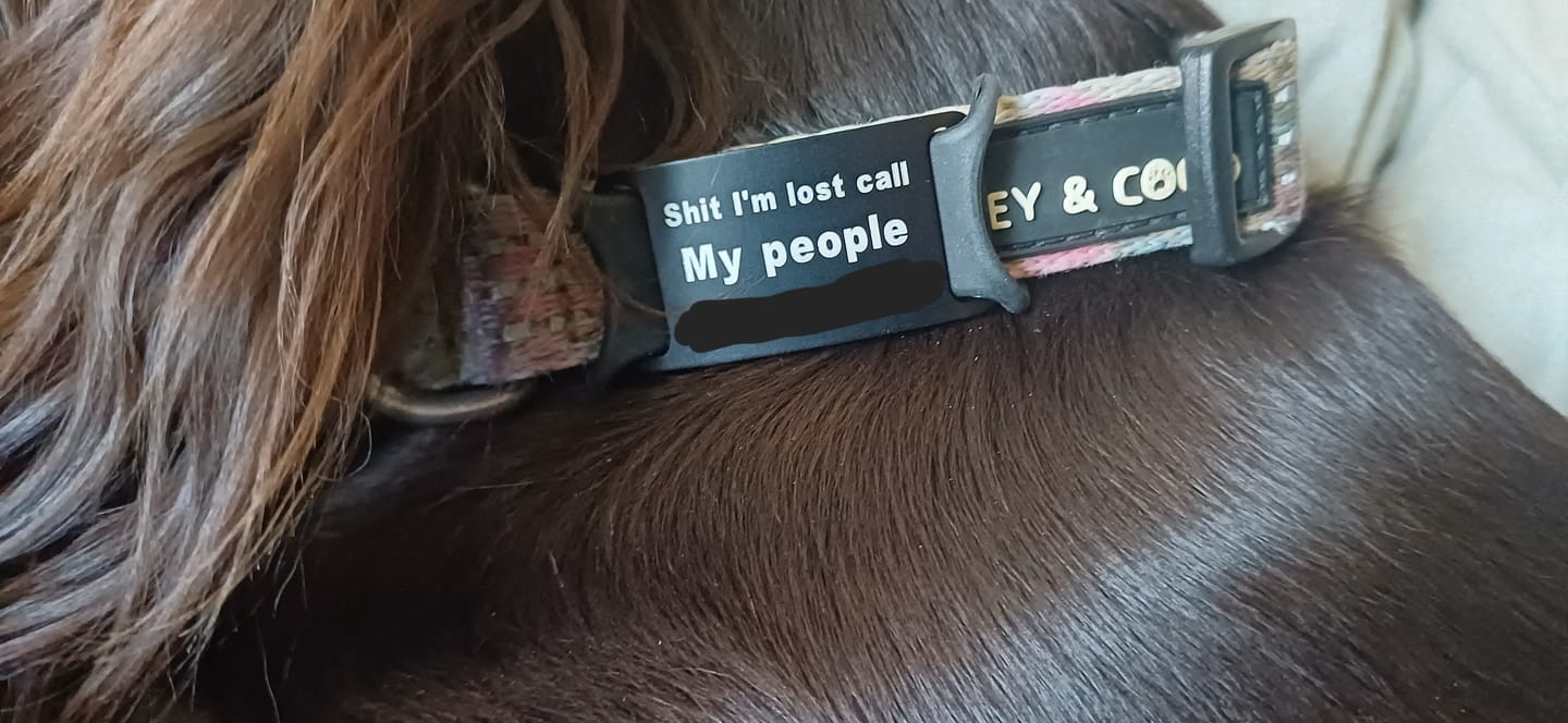 Customer photo review of Dog ID Attachment Tag (8 Colour Choices)