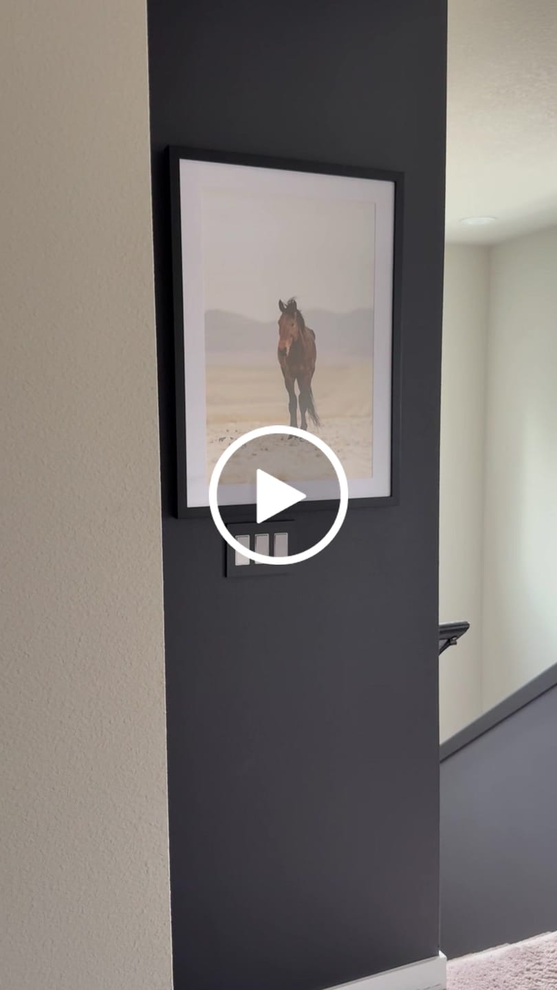 Customer video review of Mesa Mustang