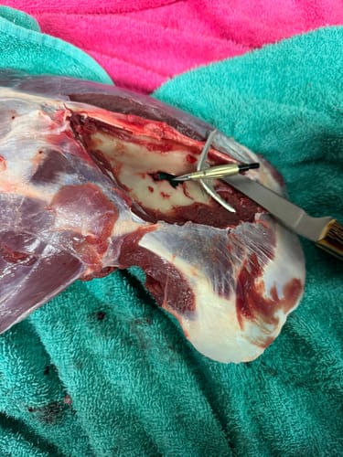 Customer photo review of Aluminum Broadheads