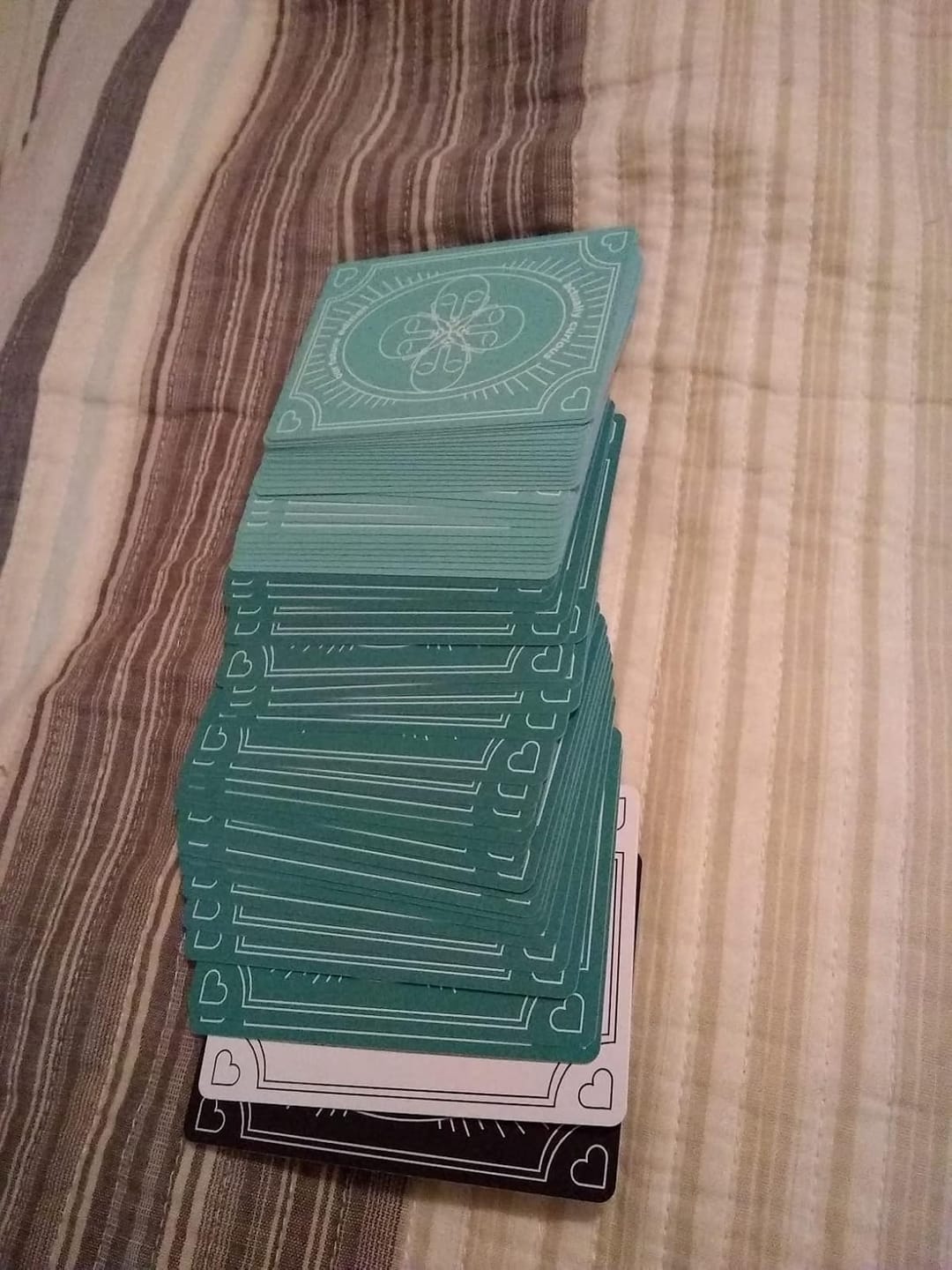 Customer photo review of Our Future Edition