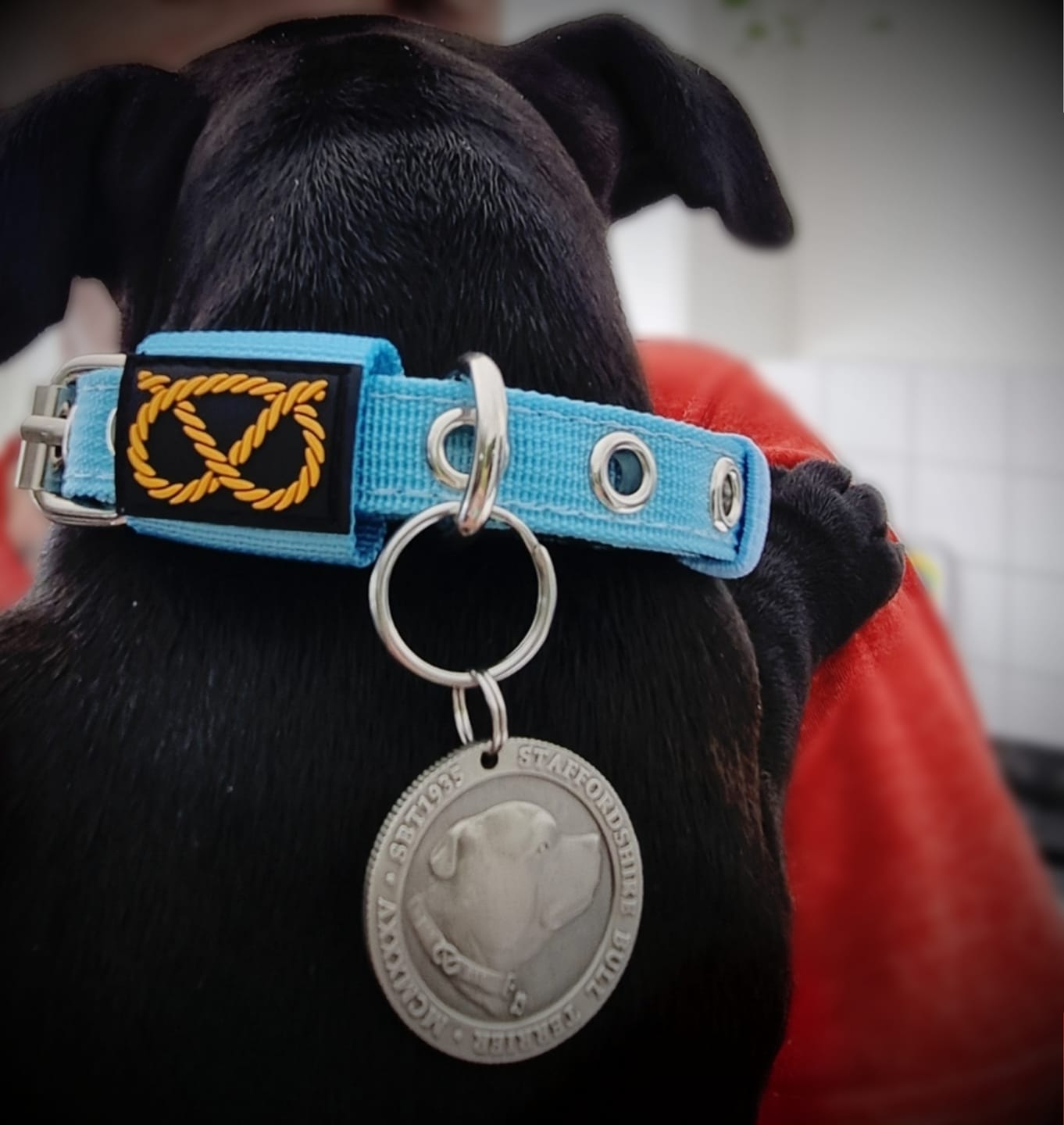 Customer photo review of Staffy Puppy Nametag - Antique - Staffordshire Bull Terrier 1935®