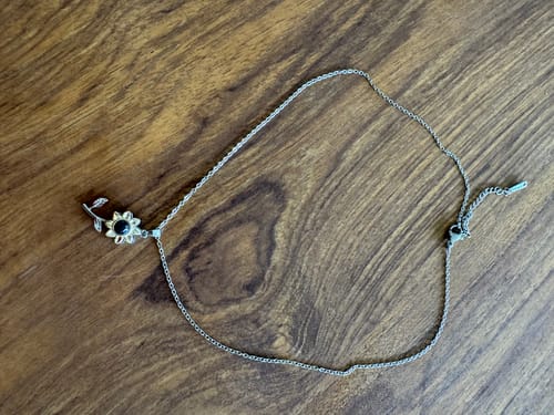 Customer photo review of Collar De Proyección Personalizable