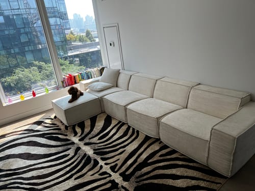 Customer photo review of M1 Sofa Sectional