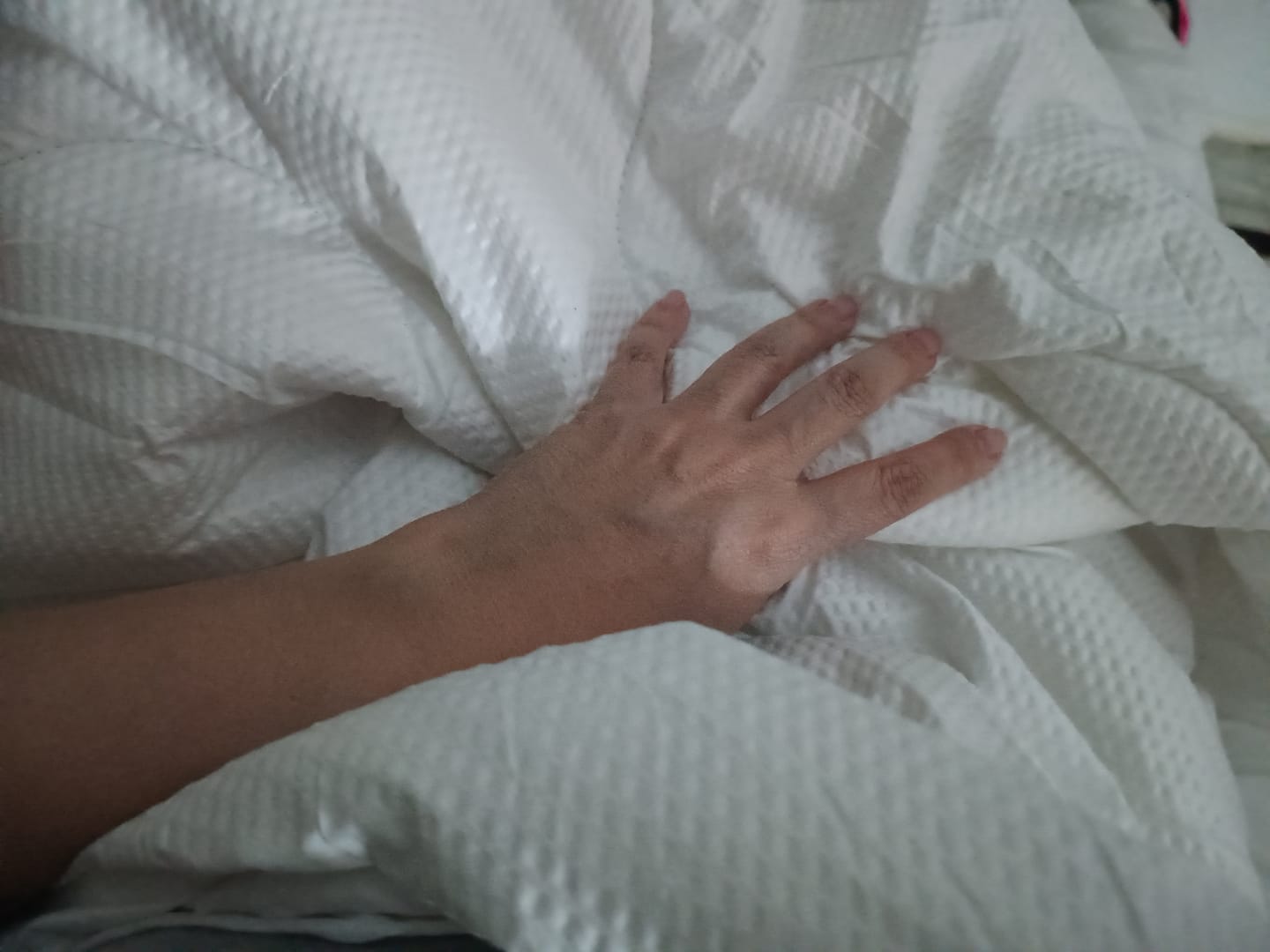 Customer photo review of Cobertor Cozy™ IWS