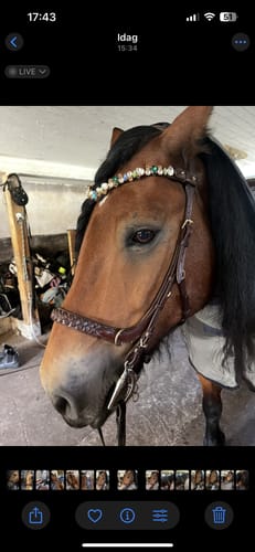 Customer photo review of El Mar browband
