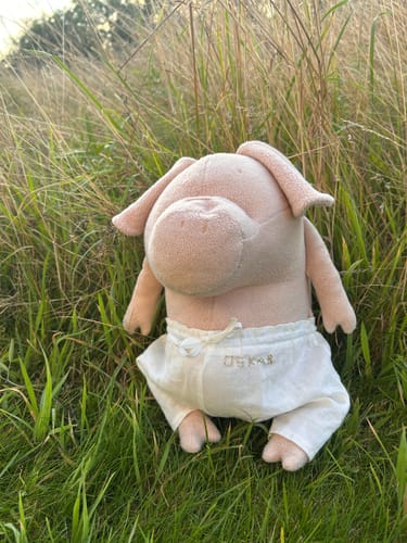 Customer photo review of HELMUT, LE COCHON - GRAND