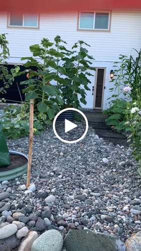 Customer video review of 17” Tall Modular 9 in 1