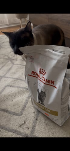 Customer photo review of ROYAL CANIN URINARY S/O Feline 1,5 Kg